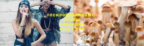 бошки Лабытнанги