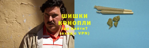 бошки Лабытнанги