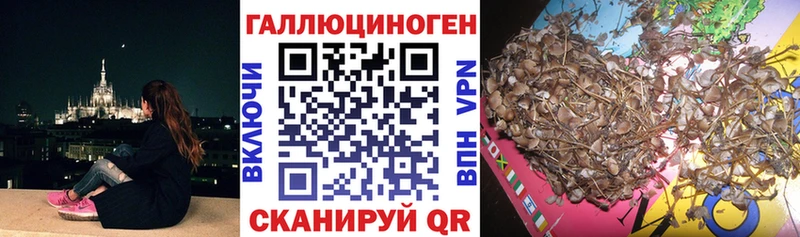 Купить закладки  Лахденпохья  Галлюциногенные грибы мицелий 